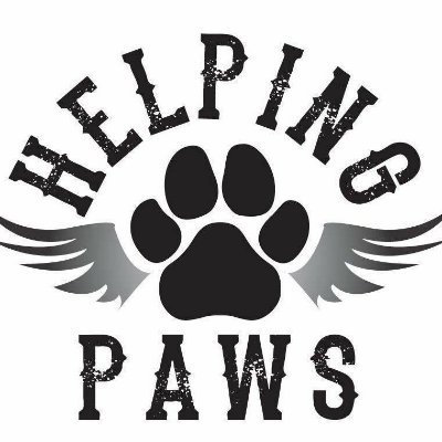 We are an all-volunteer, foster-based, not-for-profit 501(c)3 rescue focused on rescuing and rehabilitating dogs and cats in the Indianapolis area.