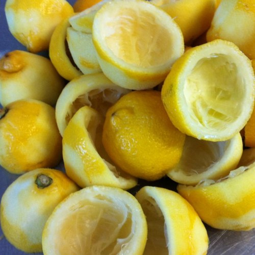 RiseBakeshop's profile picture. 