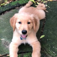 Todd Koniar (@toddkoniar) 's Twitter Profile