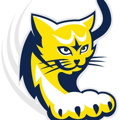 KDESwildcats Profile Picture