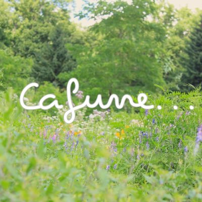 Cafune... | 綾花