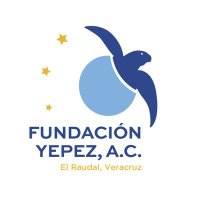 Fundación Yepez (@fundacionyepez) 's Twitter Profile Photo Fundación Yepez (@fundacionyepez) 's Twitter Profile Photo
