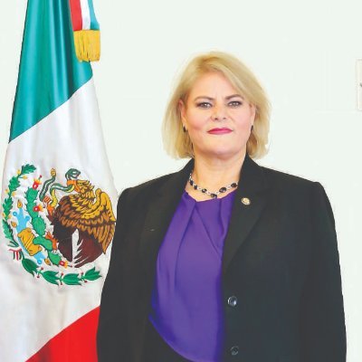 Senadora de la República grupo parlamentario Encuentro Social