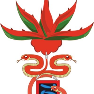 Asociación de Cronistas con 28 años ininterrumpidos de trabajo de investigación y difusión de la historia y vida de la CDMX.