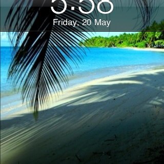 RenateC's profile picture. 