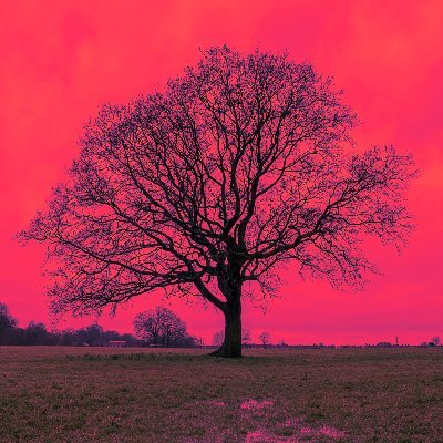 dzdzonik's profile picture. Preston 🇬🇧/Mielec🇵🇱