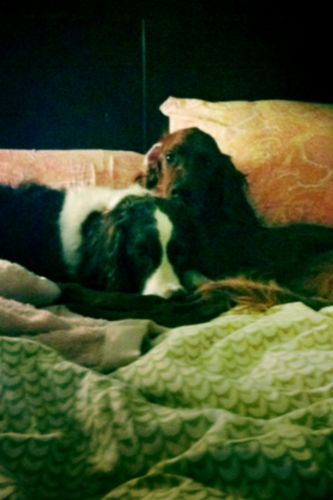 egambet's profile picture. 