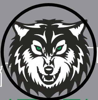 Atlanta WolfPack 2022