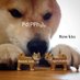 Chem Doggo (@optug1) Twitter profile photo Chem Doggo (@optug1) Twitter profile photo