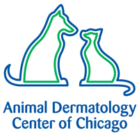 Founded in 1999, we are located in the Chicago Veterinary Emergency and Specialty Center in the Roscoe Village area. Call 773-281-7522 for appt.