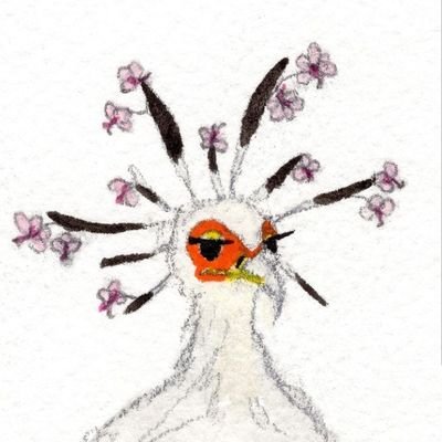 blanca_zh's profile picture. pfp @zeppelinmoon !!