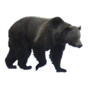 Graham Howe - @gSolarfish - Twitter