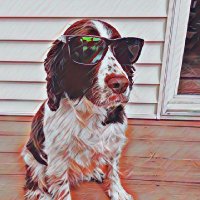 Brohemian (@bkbroyler) 's Twitter Profile