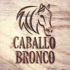 CaballoBronco.com(@CaballoBronco3) 's Twitter Profile Photo