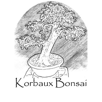 Korbaux-Bonsai