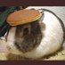 mr snugglebear (@bitlymchiggs) Twitter profile photo mr snugglebear (@bitlymchiggs) Twitter profile photo