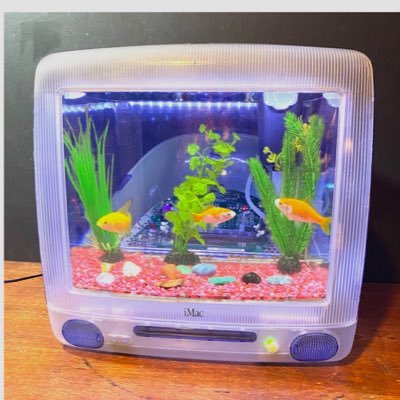 Owner of iMacRetroDesigns. A unique selection of aquariums, desk lamps, clocks, mirrors, & pet enclosures made from recycled Apple iMacs https://t.co/BWIWmJgkfv