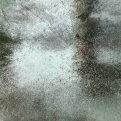 gil_bmt's profile picture. Art travel Music Science literature business fashion