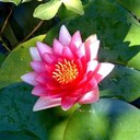 rafaela henriquez - @rafaelahenriqu1 - Twitter