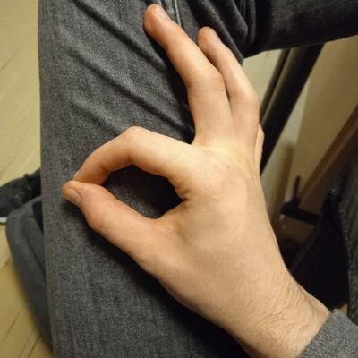 Je suis pour l'empire... voilà tout