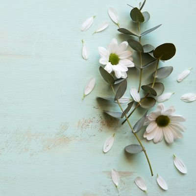على قدر أهل العزم تأتي العزائم ربِ أسألك العزيمة على الرشد