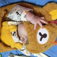 🐮まいける🐮 (@kobuta0802) Twitter profile photo