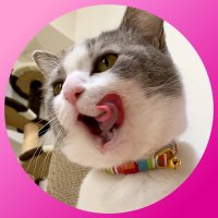いずもん/まろ様*mfmf (@7nfxwoi3f8lsqhu) 's Twitter Profile Photo いずもん/まろ様*mfmf (@7nfxwoi3f8lsqhu) 's Twitter Profile Photo