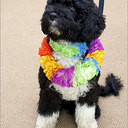 steven engelhardt - @sbeinstl - Twitter