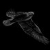 Hawks (@oldmanhawks) Twitter profile photo Hawks (@oldmanhawks) Twitter profile photo