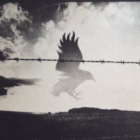 anti-cult (@disinformation0) 's Twitter Profile