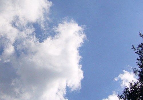 Warks_dementia's profile picture. Dementia Information Service, part of Guideposts Trust.Helping Warwickshire people find local support. National 24 hr dementia helpline 0845 1204048