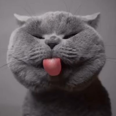 kurogane0011's profile picture. 