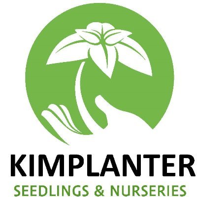 kimplanter Profile Picture
