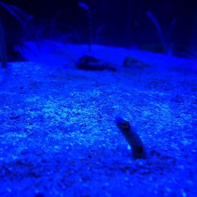 ko_ta_pri_'s profile picture. 春から静岡県立大学 経営情報