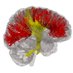 UCL Health and Bioscience IDEAS (@healthbioideas) Twitter profile photo UCL Health and Bioscience IDEAS (@healthbioideas) Twitter profile photo