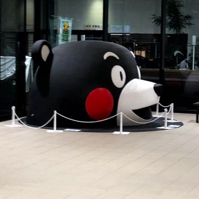 z106FuLgSqlVmDG's profile picture. 救急/サブスペ内視鏡/いつかはER型救急に行きたい/3度の飯より旅が好き/S&P500と日本個別株