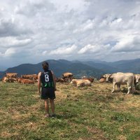 Clara Moret Sampol (@moretsampol) 's Twitter Profile