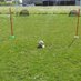 1-2-1 & Team Football Coaching (@121northwalesf1) Twitter profile photo 1-2-1 & Team Football Coaching (@121northwalesf1) Twitter profile photo