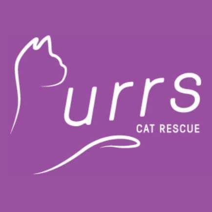 Small, dedicated cat rescue in Essex, UK Second hand cats make first class pets! 

Registered Charity Number 1168965

purrsrescue@gmail.com