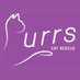 Purrs Cat Rescue (@PurrsCatRescue) Twitter profile photo