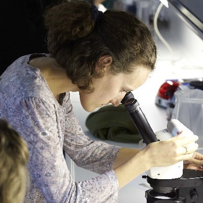Inactive account. @ https://t.co/IIgf93diRf 🦋
PhD candidate | Proteomics | Bioinformatics | @Kusterlab