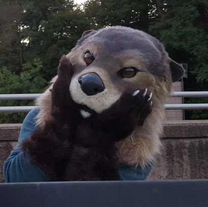 Rukker | M | 34 | Gay | Otter or sometimes Red Panda | Plants are cool | Send donuts! 🐾🌷☀️😉