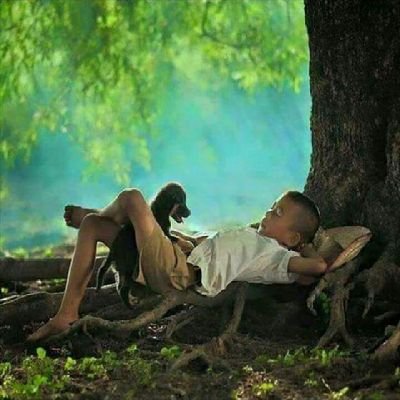 RODRIGO56143929's profile picture. 