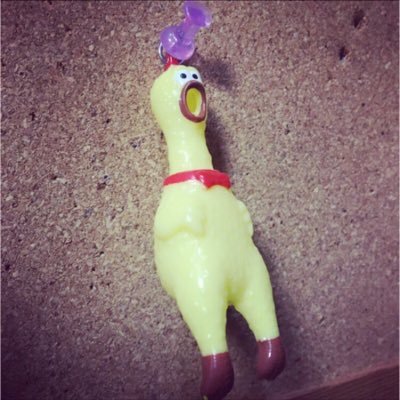 terahyde_phys's profile picture. 物理 脳が小さそうな鳥が好き