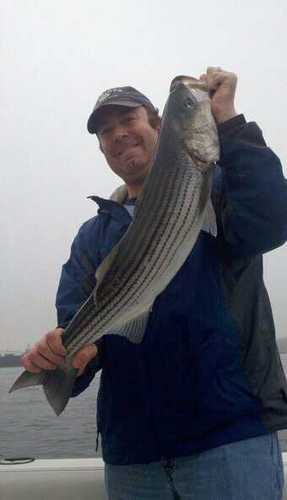 mwestgate1976's profile picture. Conservative, Social, economic, and religious. Common sense will get you there 90% of the time.