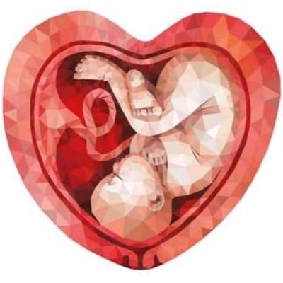 krolikowskiprze's profile picture. 