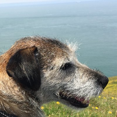 F00tsie's profile picture. Can't stand wokes. Love dogs, foxes and all animals. Hate hunting  and the hunters. Brexiteer. Men in dresses do not belong in womens' spaces. Follow F1 Love LH