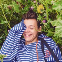 Brianna💕tpwk(@Brieloves_1D) 's Twitter Profile Photo