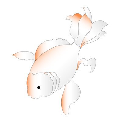 白い金魚草 🐟さんのプロフィール画像