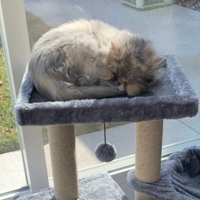 AmandaOnly1's profile picture. XO